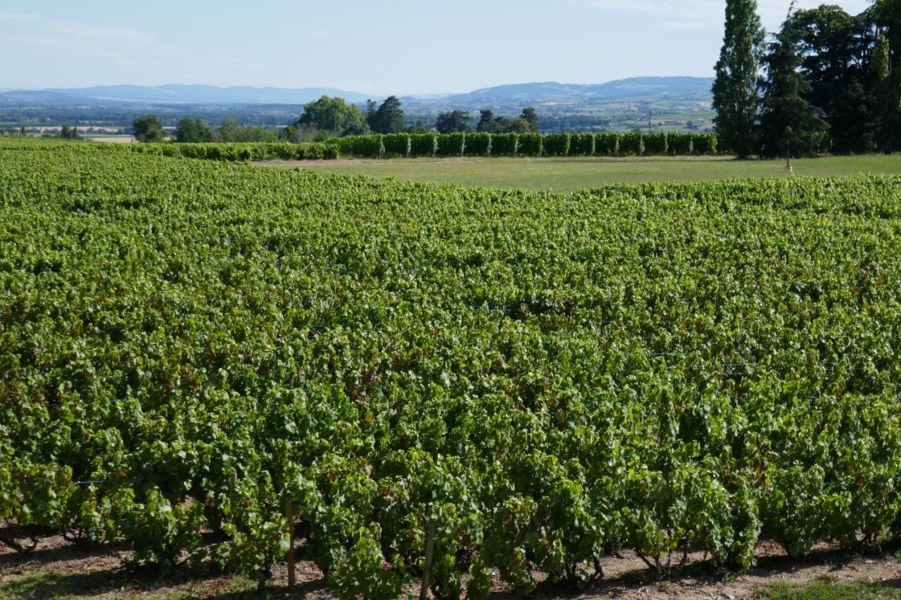 مبيت وإفطار Belleville-en-Beaujolais Le Bel Air De Saint Jean المظهر الخارجي الصورة